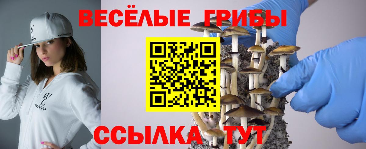 купить наркотик  Вход с VPN  Первоуральск  Галлюциногенные грибы Psilocybine cubensis 